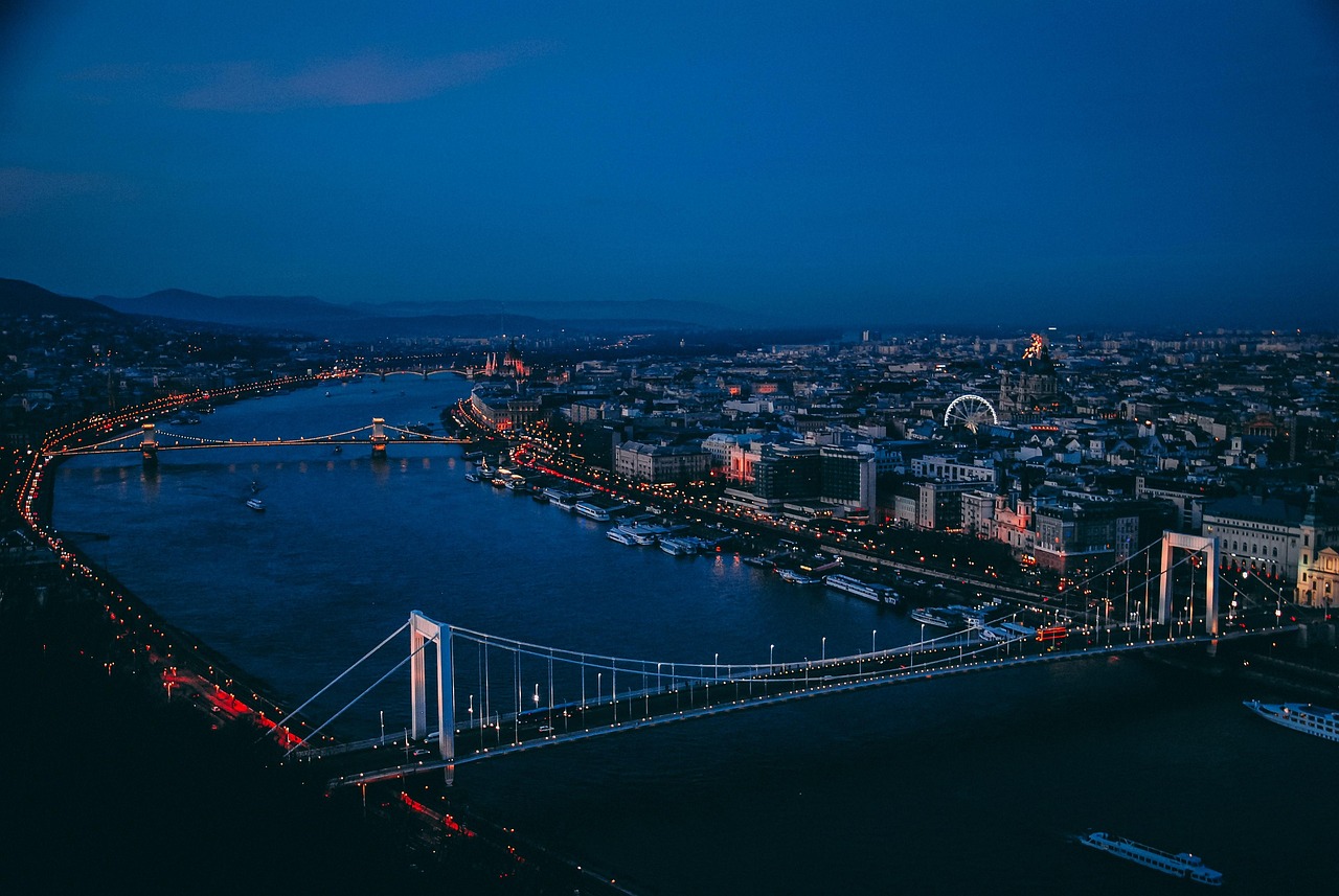 services-02 city, bridge, river, skyline, city view, buildings, nature, structures, infrastructures, budapest, night sky, night, hungary, architecture, danube, water, landmark, illuminated, evening, europe, sky